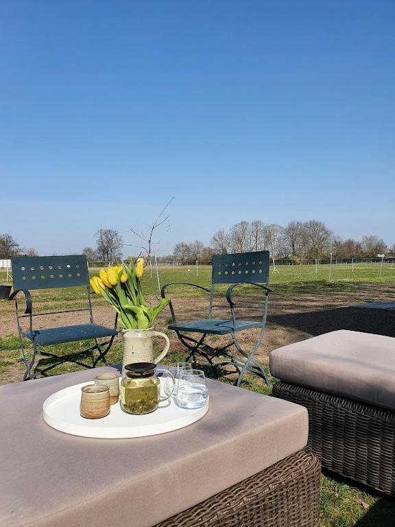 Houten Huisje Tussen Paarden Villa Nieuwerkerken Exterior foto