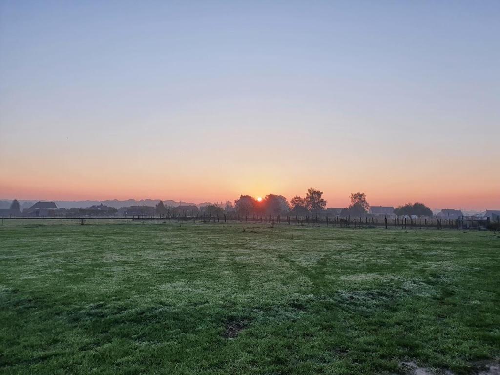 Houten Huisje Tussen Paarden Villa Nieuwerkerken Exterior foto